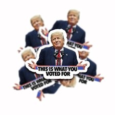 This Is What You Voted For Sticker Anti MAGA F Trump Political Humor Vinyl Decal