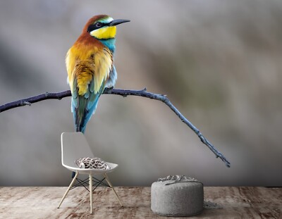 3D Color Bird Branches ZHUA662 Wallpaper Wall Murals Removable Self-adhesive