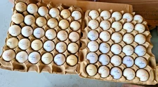 WAREHOUSE FIND  60 TITLEIST GOLF BALLS found in EGG CRATES