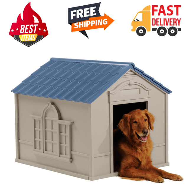 big dog house online