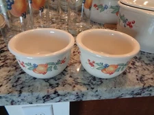 Corelle Coordinates Set of 2 Abundance Fruit Ramekins Custard Stoneware Bowls