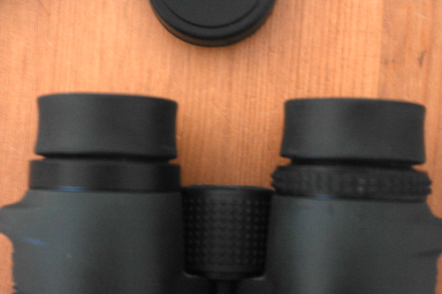 Forest Optics Forester PCC 8x42 binocolo - Foto 8 di 8