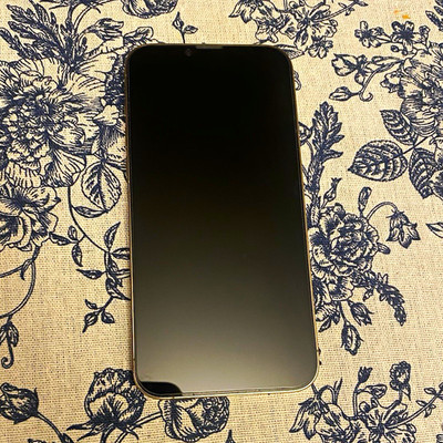 Apple iPhone 13 Pro Max 128GB Silver Unlocked iOS Smartphone