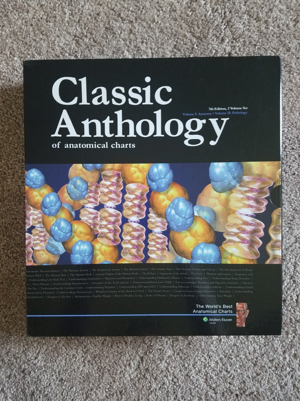 Classic Anthology Of Anatomical Charts