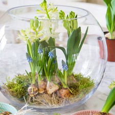 Glass handmade Large fish bowl round diameter of 25cm transparent 6 Litres