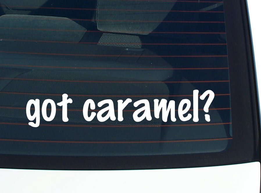Got Camel Funny Vinyl Decal for Car Window or Bumper Joke Sticker