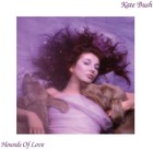 Kate Bush: Hounds of Love (2018 Remaster)(CASS) - Cassette *SEALED*