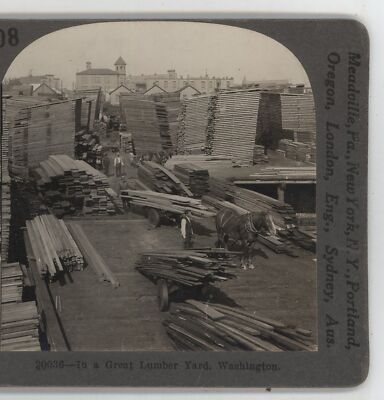 In A Great Lumber yard Washington State Keystone Stereoview c1910