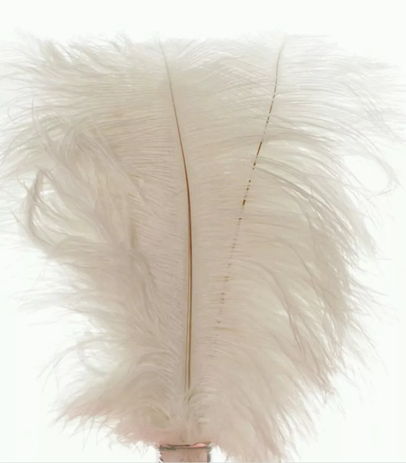 100 white ostrich feathers sale