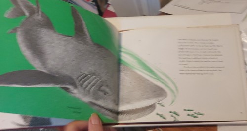 Mel Hunter Prehistoric Fishes & Man Hardback DJ Watts 1972 - Picture 12 of 15