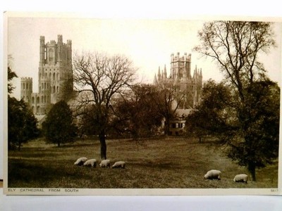 Ely Cathedral from South. Alte AK s/w, ungel. ca 1950. Kathedralenansicht von Sü
