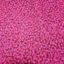 Floral Fantasia BTY P&B Textiles Tonal Pink Fuchsia Black