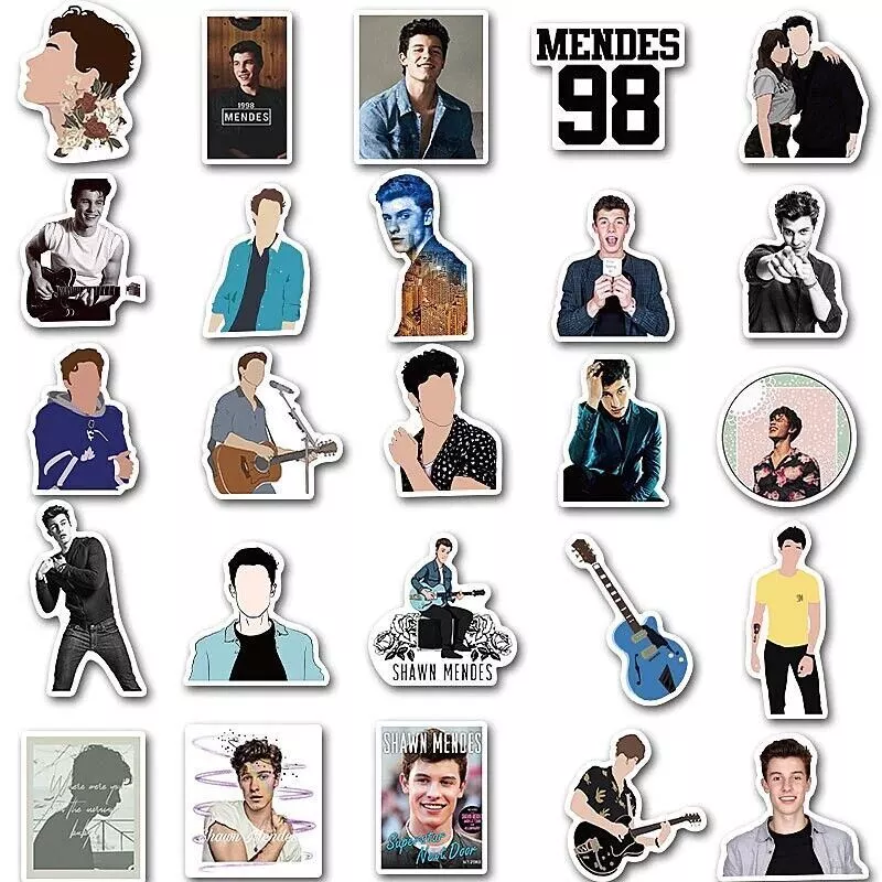 Shawn Mendes Lyrics Stickers for Sale