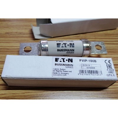 1PC NEW     Fuse FWP-100B 100Amp 100A 700V fast Ship  #T4
