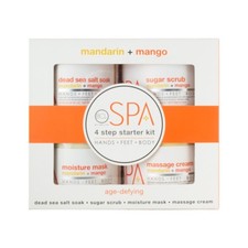 BCL SPA Mandarin Mango Tea 4 Step Starter Kit