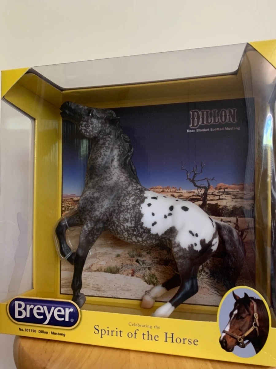 Appaloosa Spirit Mustang