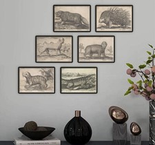 Renaissance Strange Animal Prints Antonio Tempesta Vintage Italian Wall Art