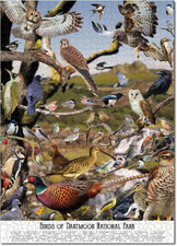 Bird Puzzles for Adults 1000 Pieces, Birding Identification Puzzle, British N...