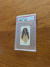 1888 N2 Allen & Ginter American Indian Chiefs JOHN YELLOW FL