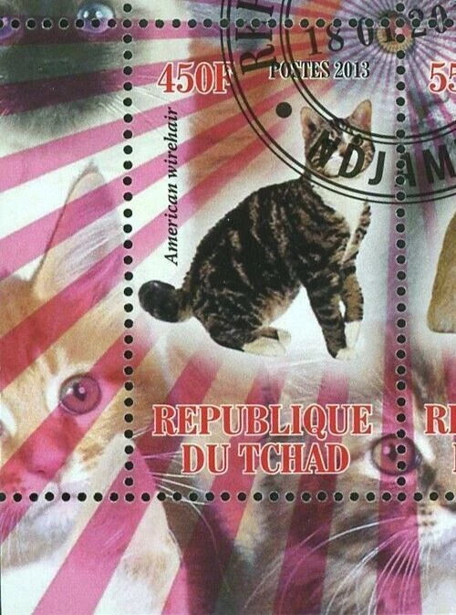 Cat Stamp American Shorthair Wire hair Maine Coon Souvenir Sheet of 4 Stamps - Image 4 of 4