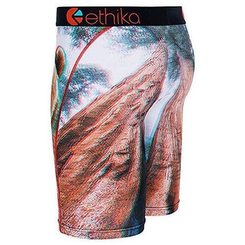 Ethika Momma Bear 3D Psychedelic Staple Fit Mens Boxer Briefs Underwear UMS171 - Picture 3 of 5