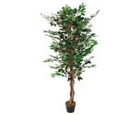 Ficus Benjamina Mit 3 NaturstäMmen, 1008 BläTter GrüN, HöHe 180Cmvon Ibizanos