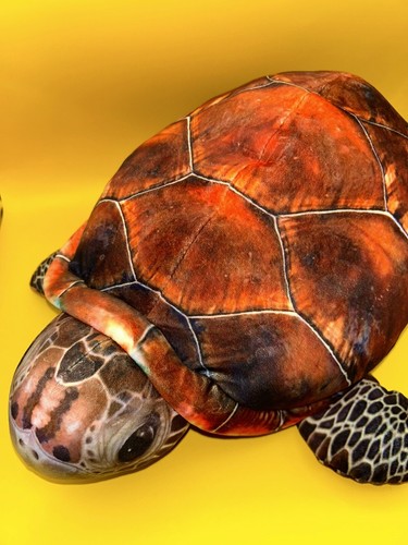 Large FIESTA Turtle PLUSH Multicolor Realistic Print 16” x 10” x 8” - Picture 6 of 10