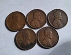 1909, 1909-VDB, 1911-D, 1915-D, 1933 Lincoln Wheat Penny's