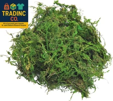 Fake Moss for Centerpieces Decor, Aftificial Green Moss for Plant Crafts Flower,