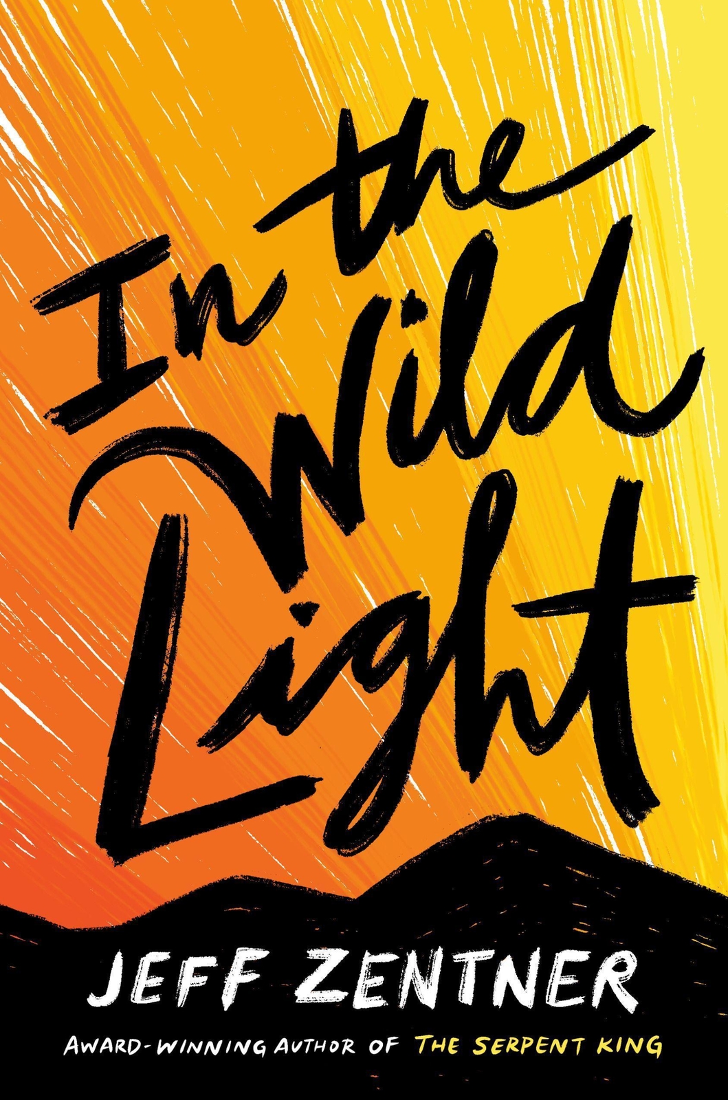Thumbnail - In The Wild Light Jeff Zentner