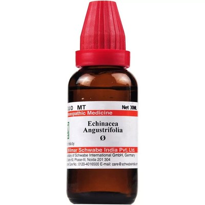 Dr Willmar Schwabe Echinacea Angustifolia Mother Tincture Q 30ml