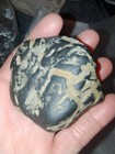 Native American Indian Hydroglypgic Rock Oregon Petroglyph Ancient Basalt 2.5" — photo 4