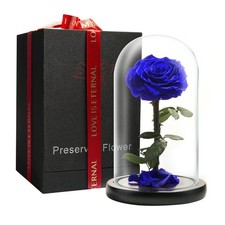 Forever Preserved Rose - Eternal in Glass Dome - Large, Blue