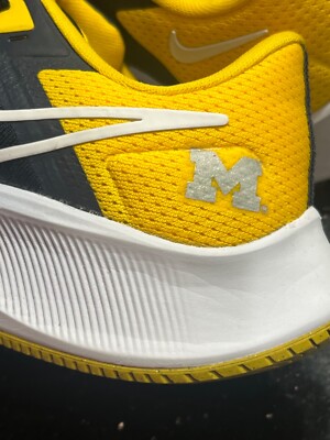 Nike Pegasus 38 Michigan Wolverines Running Shoes Mens 7.5 Michigan Wolverines Nike Unisex Zoom Pegasus 38 Running Shoe  main image 4