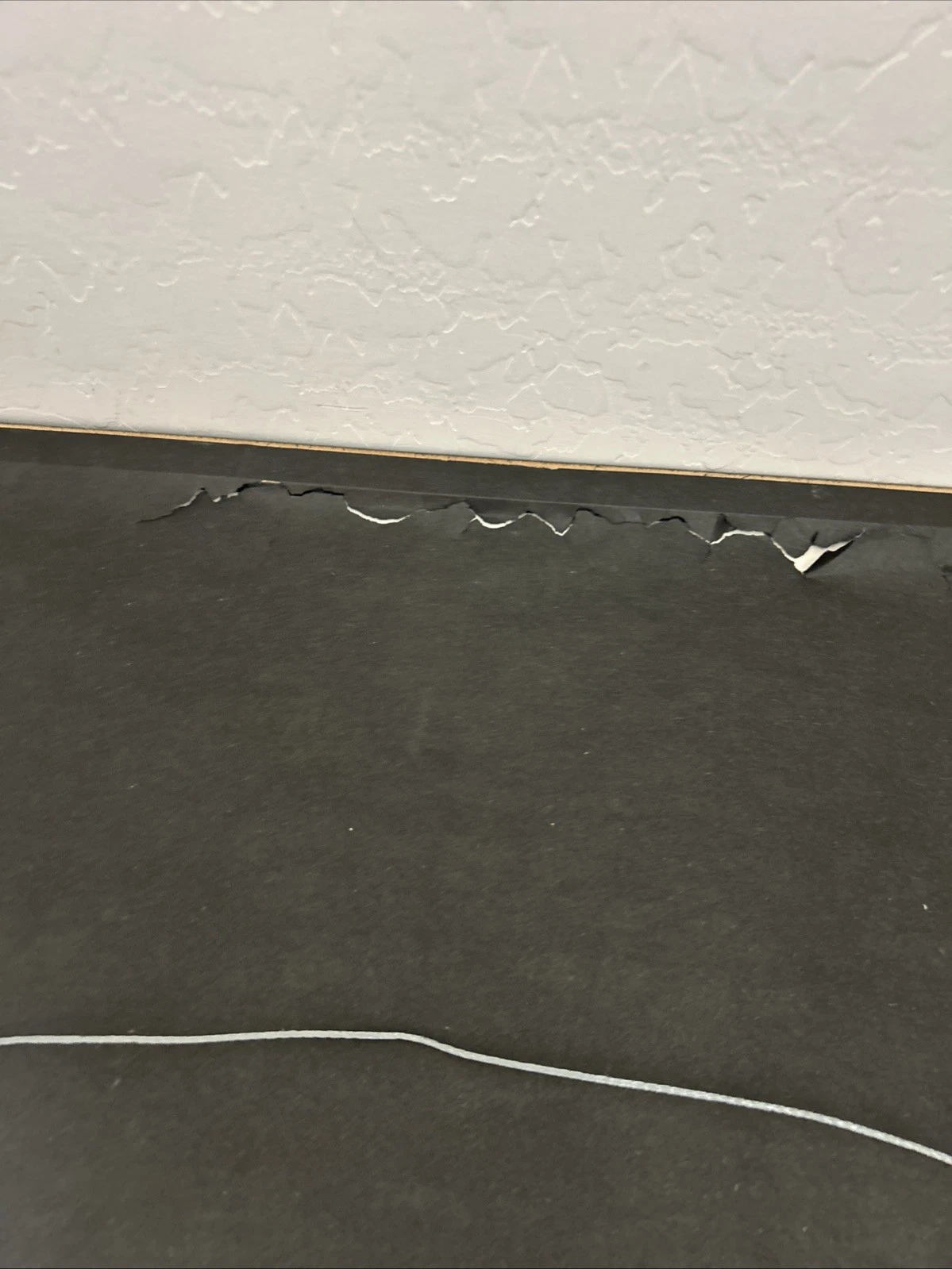 Larry Bird 33 for 3 Original Leroy Neiman Collection Hand