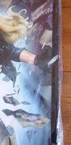 Black Canary Art Print Framed And Sealed 25" x 17" Sample Action Woman Rare - Picture 7 of 15