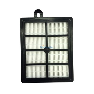 HEPA-Filter AFS1W für AEG PowerForce ALLERGY & ANIMAL CARE APF6160, waschbar