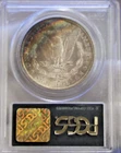 Super Toner 1882 S Morgan $1 PCGS MS64 Old Green Label