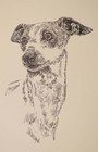 Italian Greyhound Dog Art Gift Lithograph #47 Stephen Kline draws dogs name free