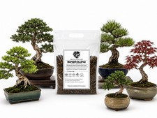 5L Premium Bonsai potting mix Bioactive Blend Fast Draining Bonsai Potting Soil