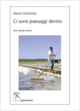 Mitja Petronio Marko Matičet Ci sono paesaggi dentro. Ed (Paperback) (UK IMPORT)
