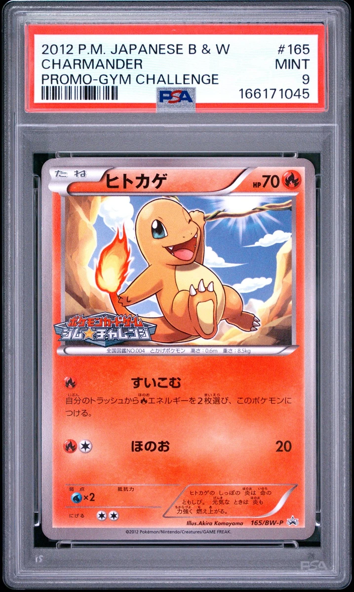Pokémon Pokémon TCG Black & White Collectible Individual Card