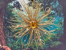 Gold Glittered Flower Christmas Ornament New  Glitter New