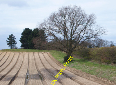 Photo 12x8 Birchwood Road Vicinity, Swanley, Kent Swanley/TQ5168 This is  c2016