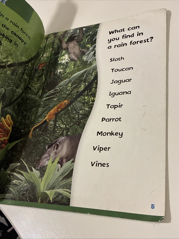 Can You Find It in a Rain Forest - Paperback By Dee Phillips - VERY GOOD - Image 4 of 4