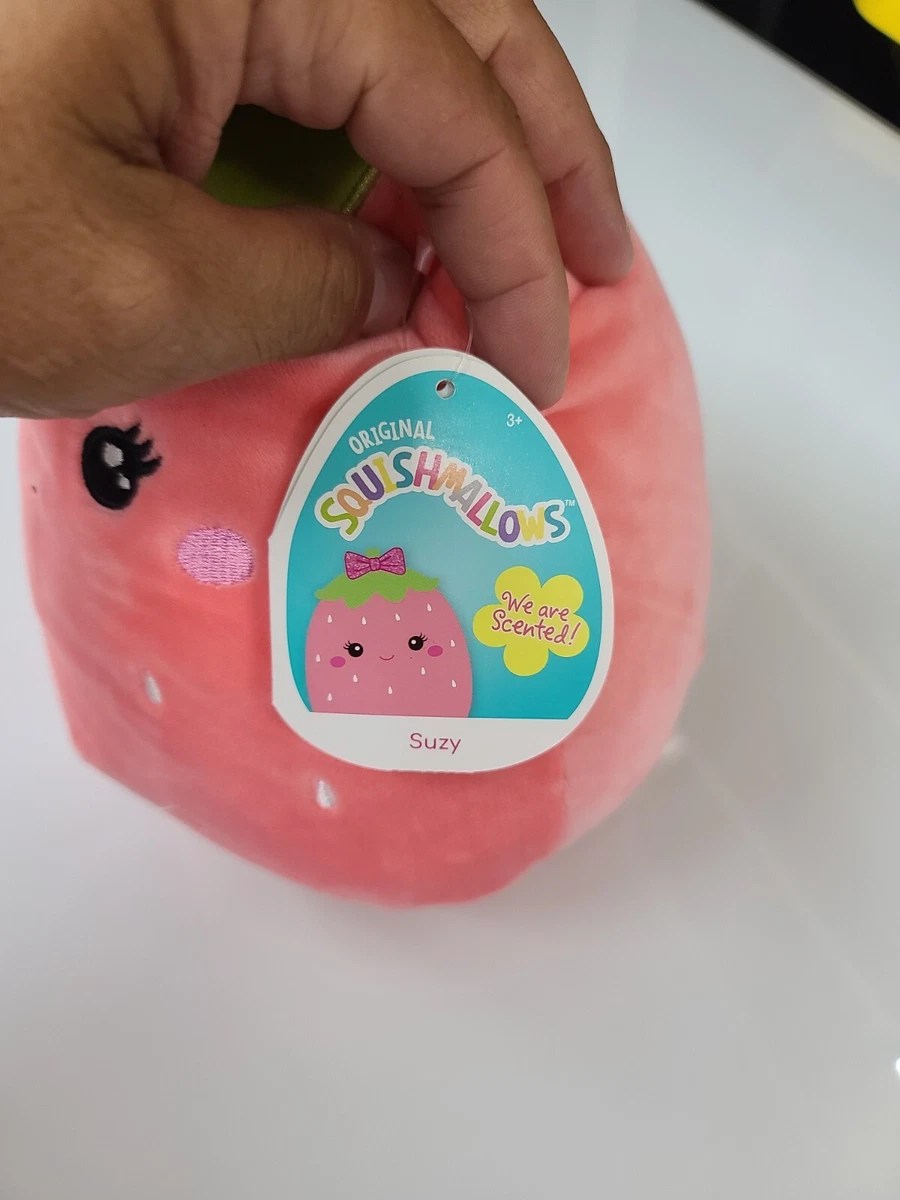 Squishmallow 8” SUZY the SCENTED STRAWBERRY CRACKER BARREL NWT VERY RARE NEW