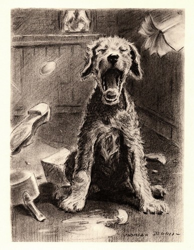 1946 Vintage AIREDALE TERRIER Print Morgan Dennis Airedale Illustration 4485b