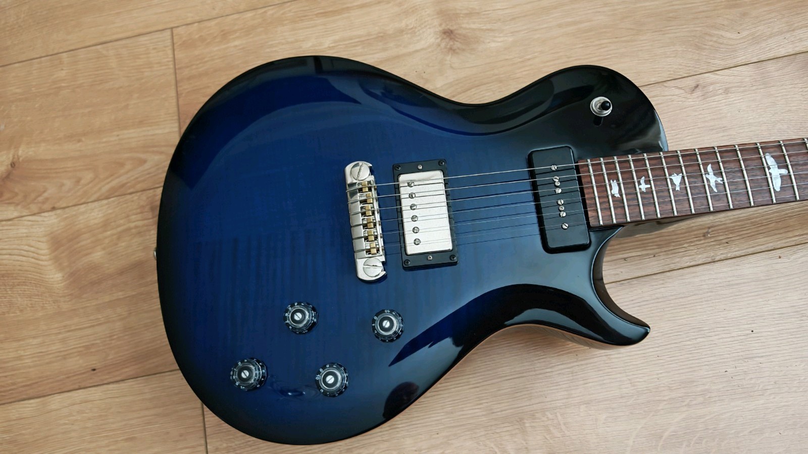 Chris Robertson PRS SE -Kentucky Blue