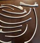 CLEAN Large Bull Elk Rib Bone Lot - 12 Pieces - Western Oregon — photo 3