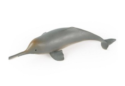 12.5cm Ganges River dolphin  Fish PVC Toy Ocean Sea Animal Figure Kids Gift